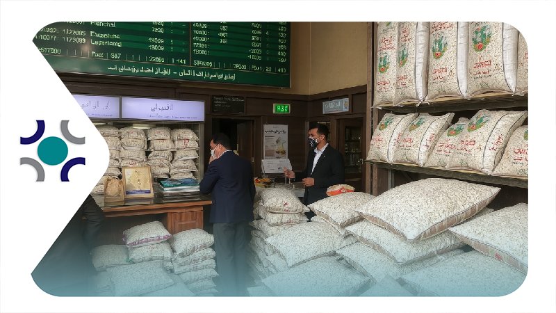 راهنمای جامع خرید برنج از بورس کالا؛ مراحل، مزایا و نکات کلیدی